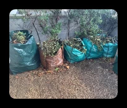 Bags of green waste (£40)