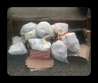 rubbish bin bags and cardboard coollected for £20