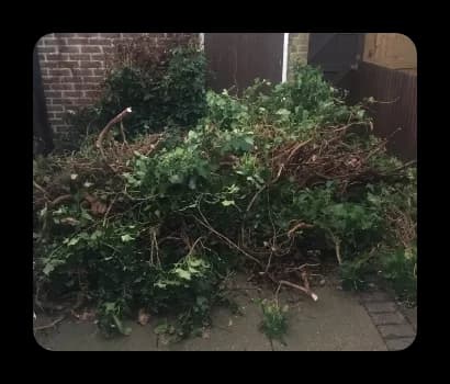 Tree waste (£90)